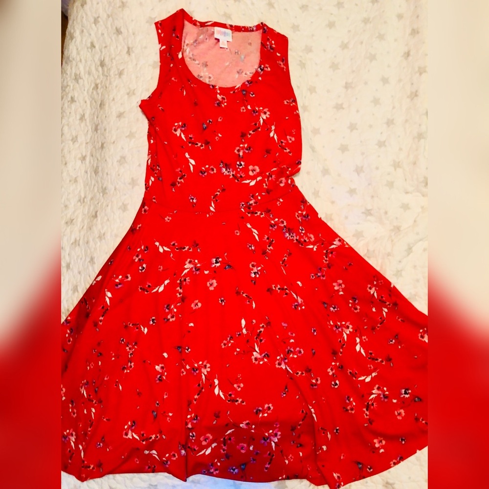 NWOT Gorgeous LuLaRoe cherry blossom Nikki Dress